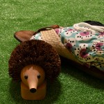 boxer-roberto-ricetti-2017-4-2